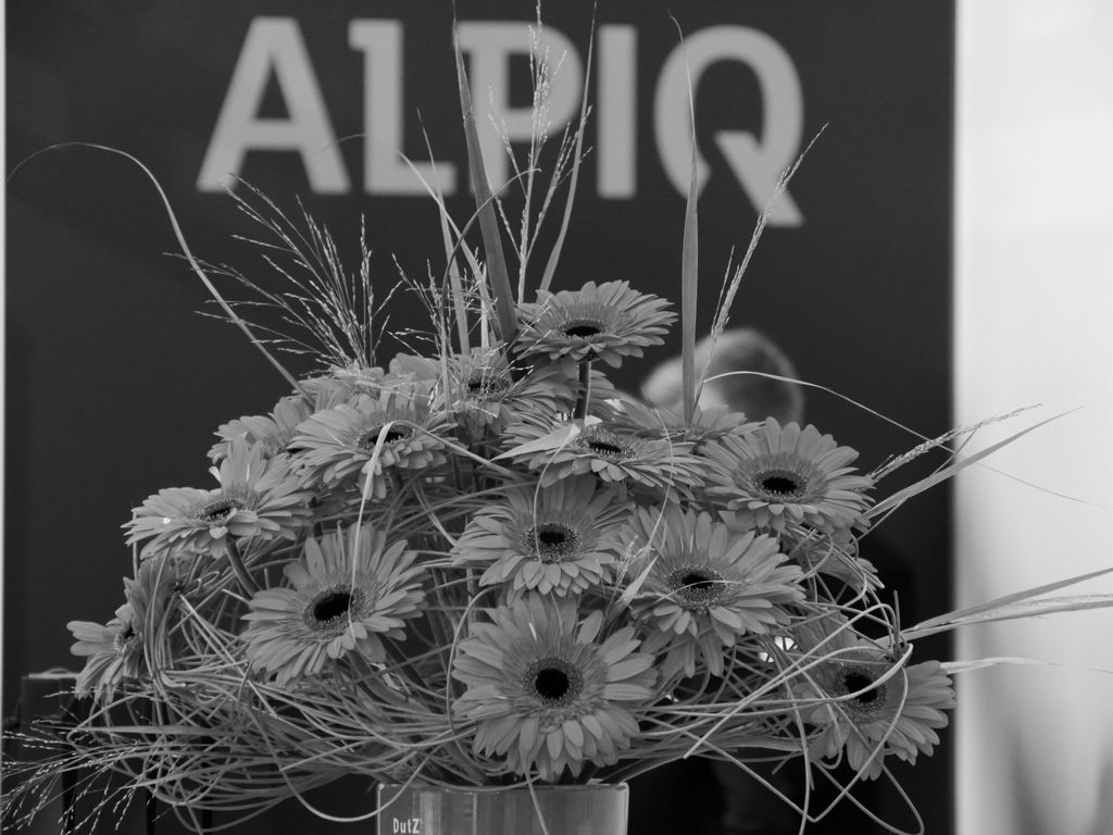 p1090585