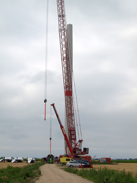 p8014391