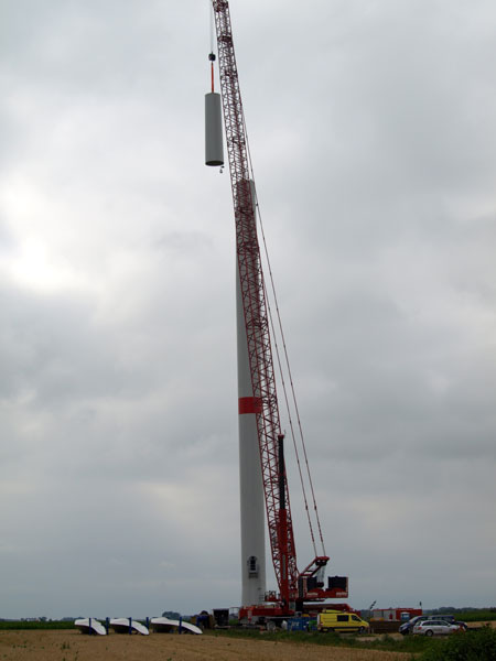p8014408