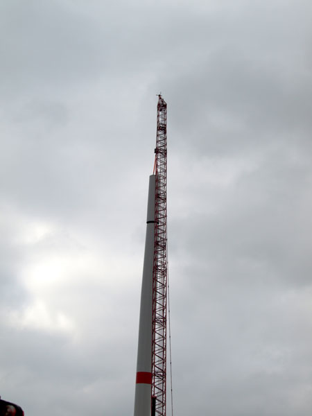 p8014413