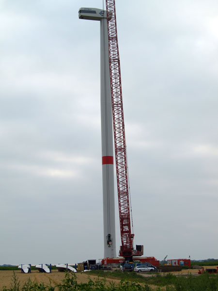 p8014417