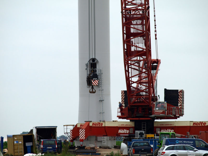 p8014418