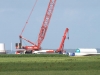 p7304386