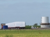 p7304389