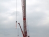 p8014391