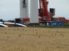 p8014402