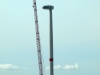 p8184469