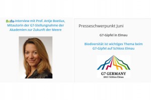 Interview mit Prof. Antje Boetius, Mitautorin der G7-Stellungnahme der Akademien zur Zukunft der Meere / Netzwerk-Forum zur Biodiversitätsforschung