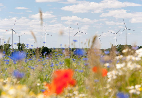 Allianz-Windpark / Pressebild: Allianz Deutschland AG