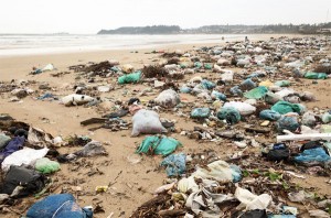 Stränder der dritten Welt, an einem Meer aus Müll / Pressebild: © Dmitry Naumov