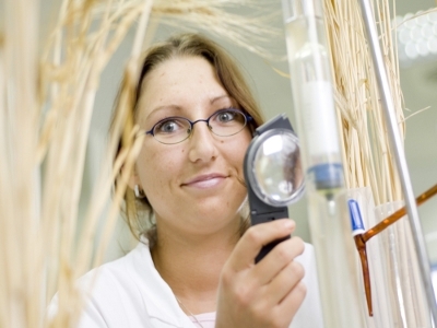 Chemielaborantin bei der Arbeit für die Erneuerbaren Energien / Pressebild