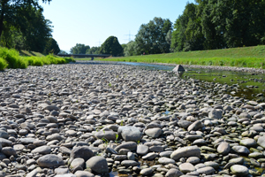 Experten vermuten, dass Trockenheitsphasen in Europa infolge des Klimawandels zunehmen werden. Foto: Veit Blauhut/ Hydrologie Universität Freiburg