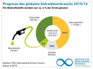 Derzeit werden nur 6 Prozent der globalen Getreideernte für Biokraftstoffe genutzt.