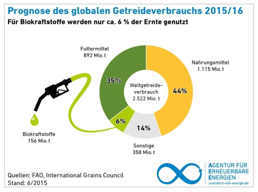 Derzeit werden nur 6 Prozent der globalen Getreideernte für Biokraftstoffe genutzt.