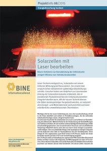 Projektinfo (4 Seite, pdf, 760 kB)
