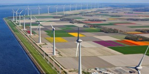 Noordoostpolder Windprojekt / Pressebild: RWE