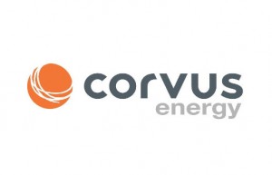 corvus