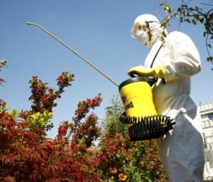 GLOBAL 2000 fordert „Runden Tisch“ zum Thema Glyphosat und Krebseinstufung / Pressebild: Pestizide (c) Caro Steiger