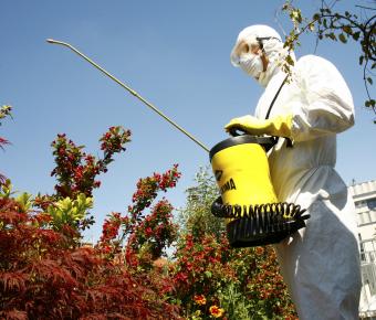 GLOBAL 2000 fordert „Runden Tisch“ zum Thema Glyphosat und Krebseinstufung / Pressebild: Pestizide (c) Caro Steiger
