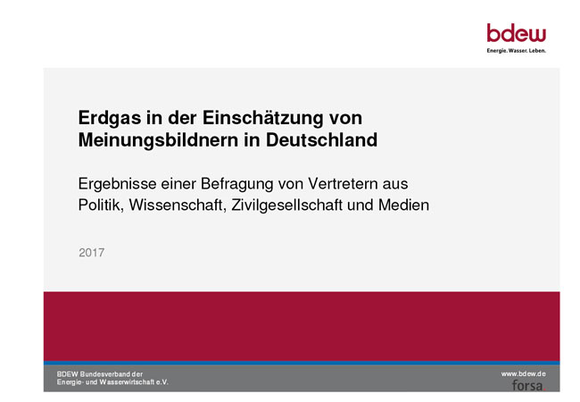 Erdgas in der Einschätzung von Meinungsbildnern in Deutschland