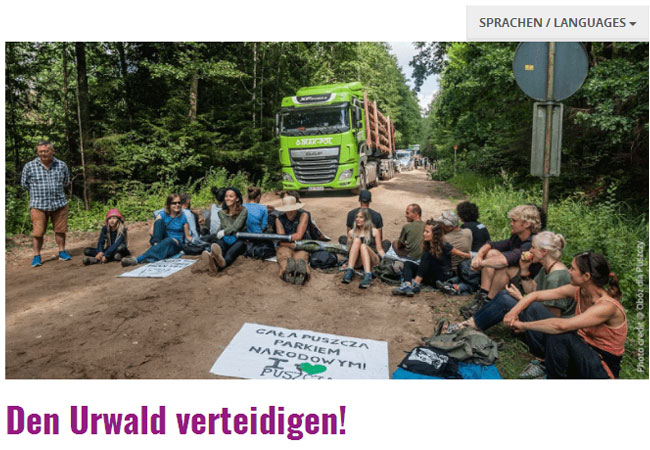 Den Urwald verteidigen! An die Aktiven, die Europas letzten Urwald verteidigen