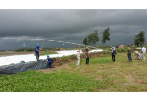 Errichtung des Windmessmastes an der vietnamesischen Küste / Bild zu: Rostocker Lehrstuhl für Windenergietechnik forscht für Vietnam