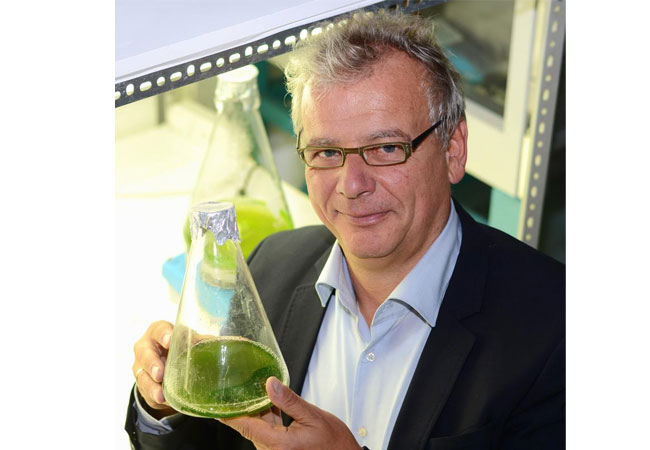 Prof. Dr. Olaf Kruse organisiert die CeBiTec-Konferenz zu Algen-Biotechnologie. Er forscht seit mehr als 20 Jahren zu dem Thema.