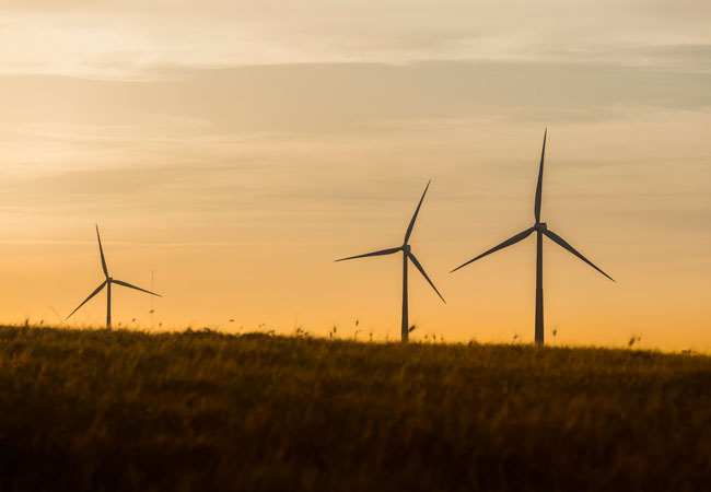 Pressebild: SGRE-wind-farm