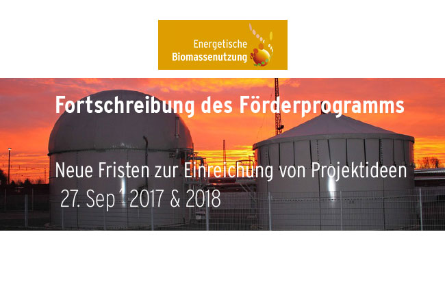 Pressebild: Bioenergie: Flexibel und integriert in die nächste Epoche