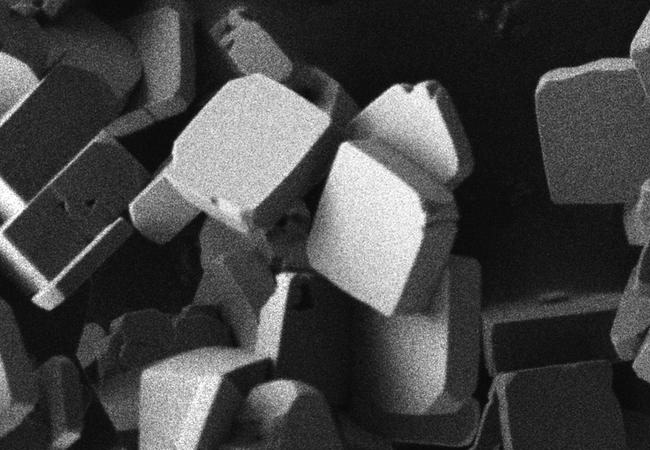 Pressebild: Elektronenmikroskopische Aufnahme der plättchförmigen Lithium-Kobaltphosphat-Kristalle Bild: Katia Rodewald / TUM