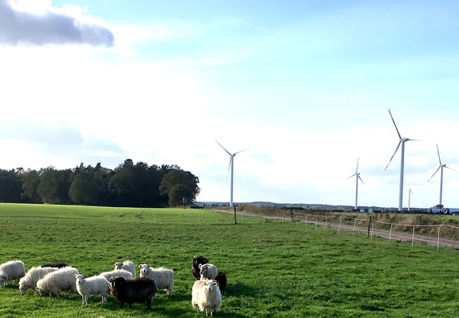 Pressebild: Prokon eG nimmt mit Fleetmark II den fünften Windpark in 2017 in Betrieb