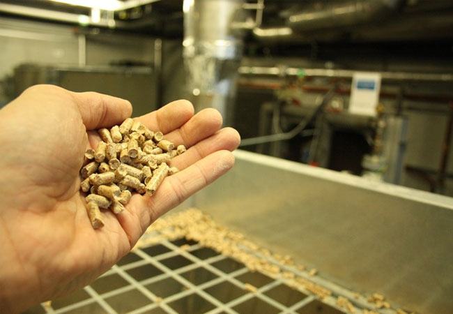 Pressebild: Heizen mit Pellets. Foto: TÜV Rheinland