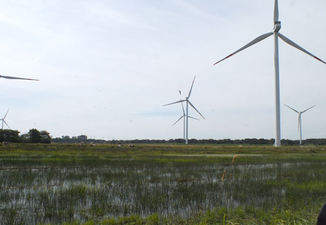 Vestas-Windpark / Foto: HB