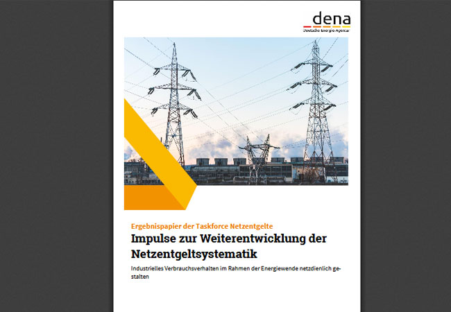 dena-Studie: Ergebnispapier der Taskforce Netzentgelte: Impulse zur Weiterentwicklung der Netzentgeltsystematik
