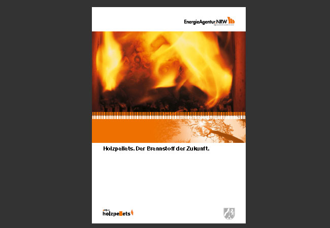 Der Ratgeber gibt einen umfassenden Überblick über das Themenspektrum Holzpellets. Von der Produktion über unterschiedliche Heizungsarten und Öfen werden die Vorteile des Heizens mit Holzpellets in punkto Wirtschaftlichkeit, Förderung und Umweltverträglichkeit abgebildet. Besonderer Augenmerk wird auf die Installation und Lagerung gelegt. Tipps für Heizungs- und Holzpelletkauf runden den Ratgeber ab.