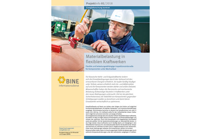 BINE-Projektinfo „Materialbelastung in flexiblen Kraftwerken“