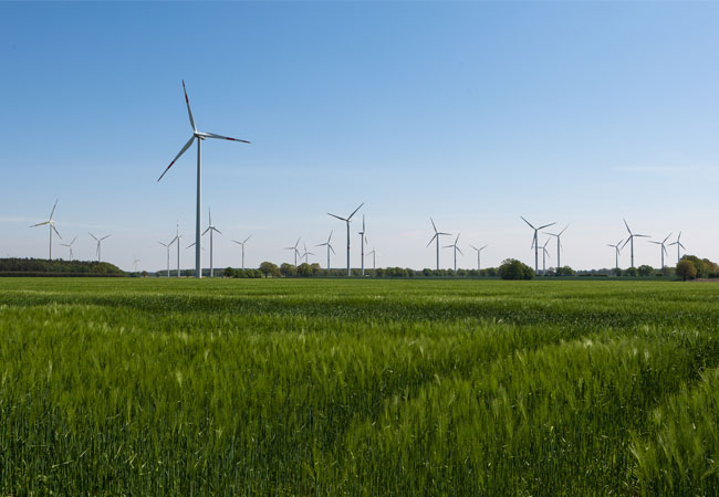 Pressebild: Die Windkraft treibt den Anteil des grünen Stromes im Netz maßgeblich voran. Foto: WEMAG/Stephan Rudolph-Kramer