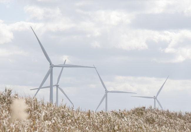 Pressebild: SGRE-wind-farm-in-Japan