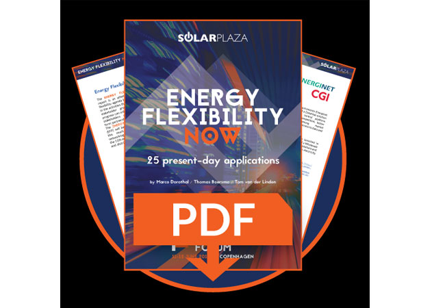 https://energyflexibilityforum.com/energy-flexibility-now-report/