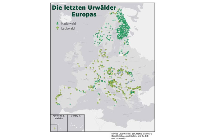 Pressebild: Die letzten Urwälder in Europa Copyright: Esri, HERE, Garmin, OpenStreetMap contributors, GIS user community