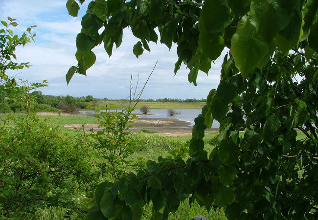 Naturschutzgebiet Holnis / Foto: HB