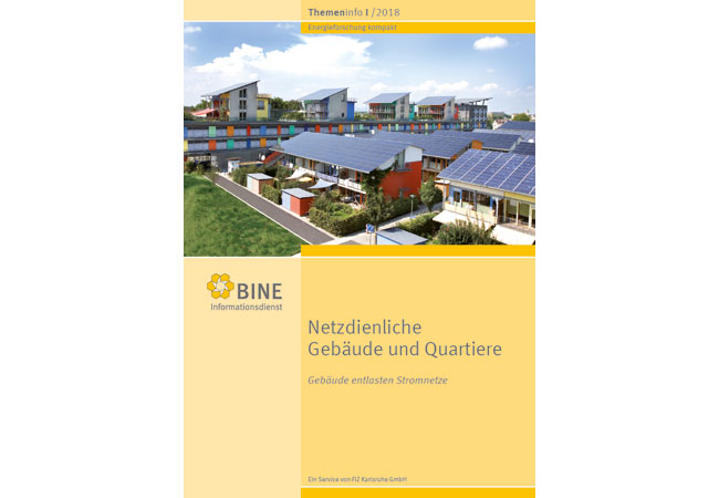 Pressecover: Gebäude entlasten Stromnetze