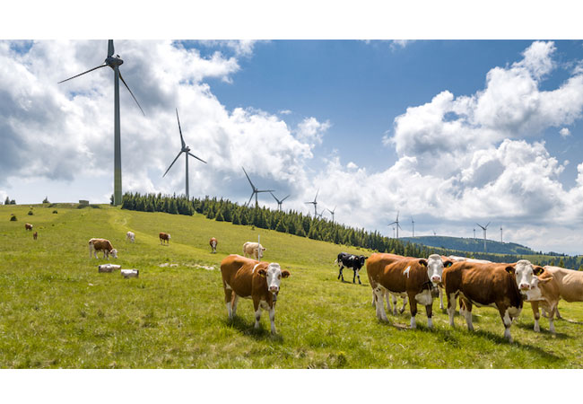 Pressebild: Windpark Pretul copyright: ÖBf-Archiv/R. Leitner