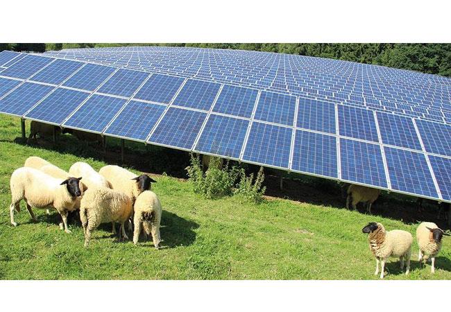Pressebild: Der älteste Solarpark in Dietzhölztal lag im Mai 59% über Prognose.