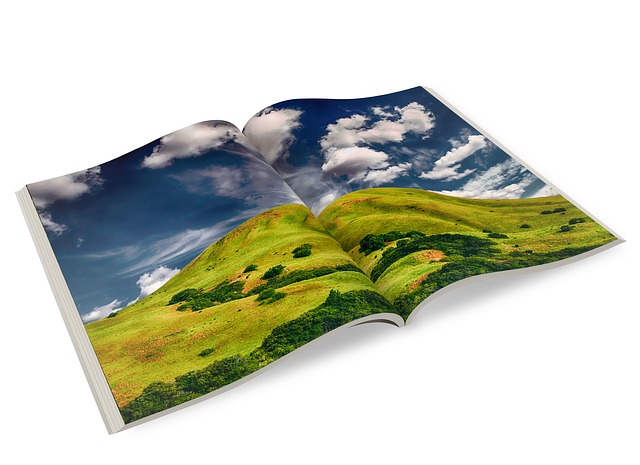 Foto: pixabay.com / The Digital Artist