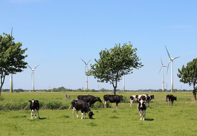 PB: QuantecSensors_BNK_in_der_Region_Brake_Unterweser