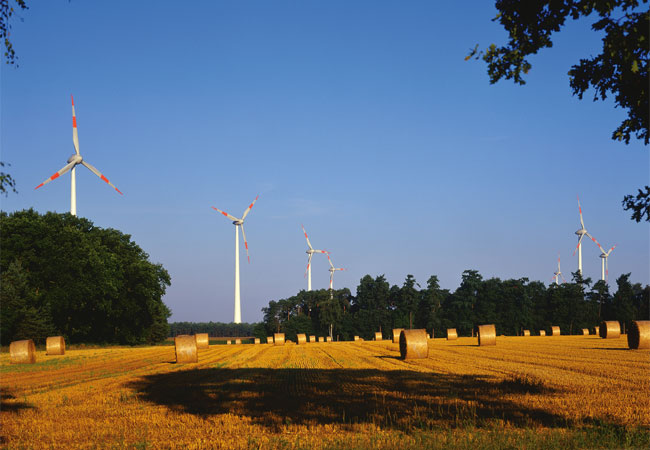 PB: Windpark im Sommer / Foto Energiekontor