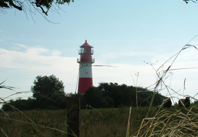 Das Leuchtturmprojekt / Foto: HB