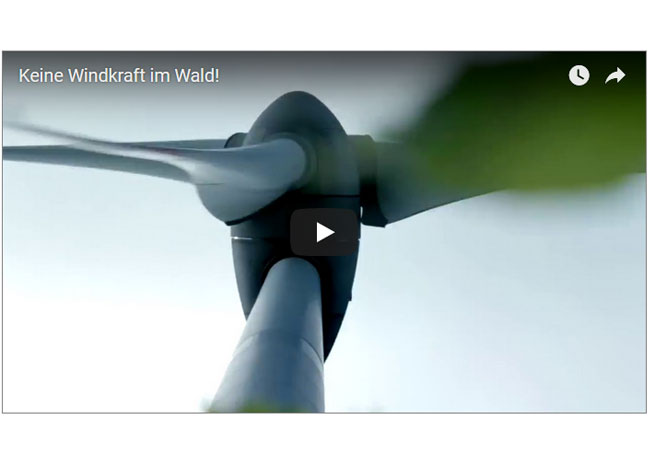 Videobild: Windkraft-Filmspot der Deutschen Wildtier Stiftung