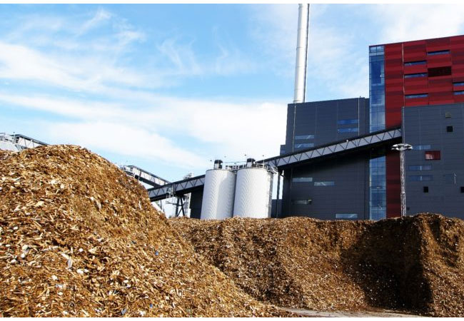 Pressebild: Geringer Wettbewerb, hohe Preise – die Biomasse-Ausschreibung vom 01.09.2018